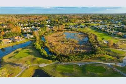 20828 Eustis Road, Land O Lakes, FL 34637 - Photo 76