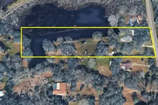 19616 Livingston Ave, Lutz, FL 33559 - Photo 1