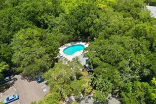 11844 Skylake Pl, Tampa, FL 33617 - Photo 22