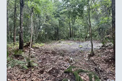 2322-2328 Rouse Road, Orlando, FL 32817 - Photo 4