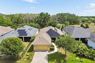 6112 Watercolor Dr, Lithia, FL 33547 - Photo 44