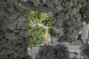 33065 Cedonia Rd, Ridge Manor, FL 33523 - Photo 4