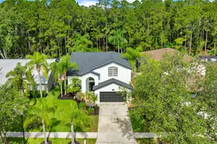 13115 Royal George Ave, Odessa, FL 33556 - Photo 56