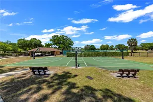 13115 Royal George Ave, Odessa, FL 33556 - Photo 66