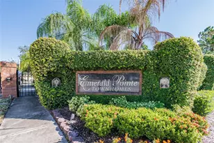 6224 Clifton Palms Dr, Tampa, FL 33647 - Photo 54
