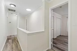 6224 Clifton Palms Dr, Tampa, FL 33647 - Photo 38