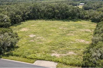 17385 Livingston Avenue, Lutz, FL 33559 - Photo 1