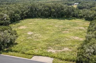 17385 Livingston Ave, Lutz, FL 33559 - Photo 1
