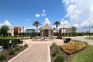 8687 Birchleaf Ct Ct, Land O Lakes, FL 34637 - Photo 58