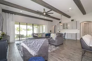 8687 Birchleaf Ct Ct, Land O Lakes, FL 34637 - Photo 6