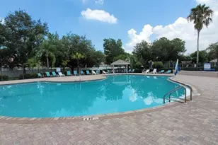 11115 Silver Dancer Dr, Riverview, FL 33579 - Photo 42