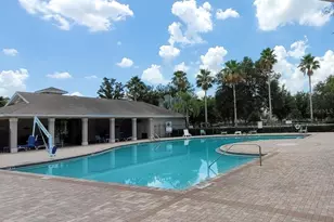 11115 Silver Dancer Dr, Riverview, FL 33579 - Photo 44