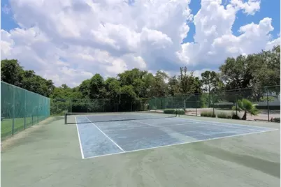 11115 Silver Dancer Drive, Riverview, FL 33579 - Photo 52