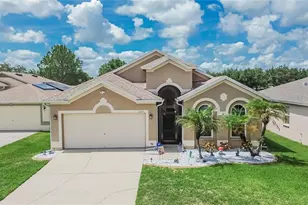 11115 Silver Dancer Dr, Riverview, FL 33579 - Photo 2