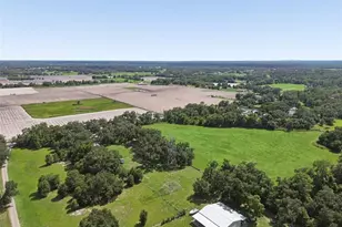 4920 W Knights Griffin Rd, Plant City, FL 33565 - Photo 66