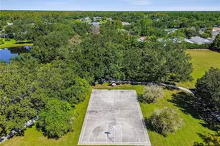 19204 Garden Quilt Cir, Lutz, FL 33558 - Photo 52