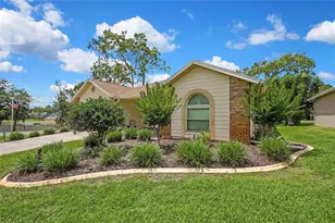 6333 Pine Meadows Dr, Spring Hill, FL 34606 - Photo 42