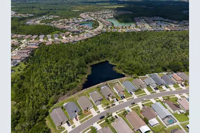 30609 Tremont Drive, Wesley Chapel, FL 33543 - Photo 46