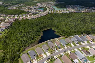 30609 Tremont Dr, Wesley Chapel, FL 33543 - Photo 46