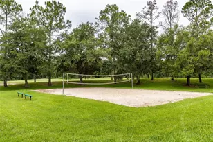 5417 Algerine Pl, Wesley Chapel, FL 33544 - Photo 50