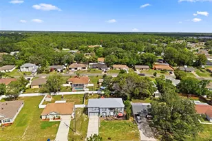12261 Linden Dr, Spring Hill, FL 34608 - Photo 74
