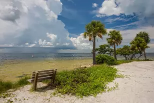 2107 Grove Valley, Palm Harbor, FL 34683 - Photo 58