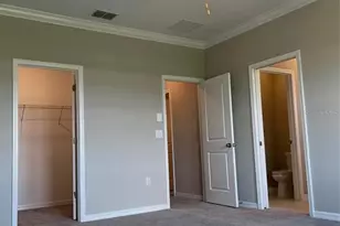 31611 Blue Passing Loop, Wesley Chapel, FL 33545 - Photo 10