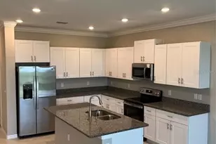 31611 Blue Passing Loop, Wesley Chapel, FL 33545 - Photo 2