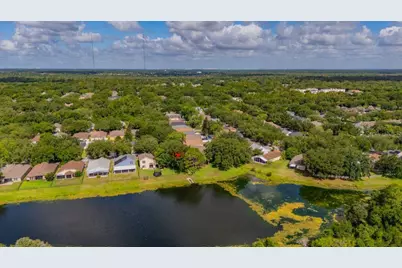 15424 Osprey Glen Drive, Lithia, FL 33547 - Photo 38
