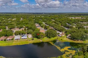15424 Osprey Glen Dr, Lithia, FL 33547 - Photo 38
