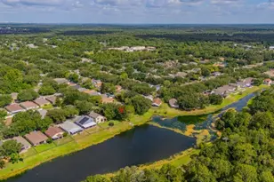 15424 Osprey Glen Dr, Lithia, FL 33547 - Photo 40