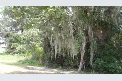 30709 Lanesborough Circle, Wesley Chapel, FL 33543 - Photo 24