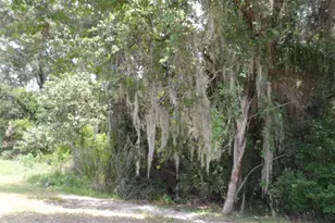 30709 Lanesborough Cir, Wesley Chapel, FL 33543 - Photo 24
