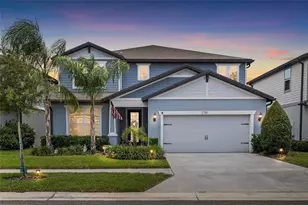 2781 Dolores Home Ave, Valrico, FL 33594 - Photo 54
