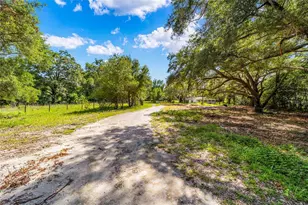 11768 N Gatlen Ave, Dunnellon, FL 34433 - Photo 38