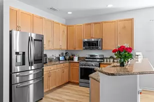 19419 Red Sky Ct, Land O Lakes, FL 34638 - Photo 16