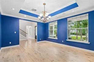 27708 Santa Anita Blvd, Wesley Chapel, FL 33544 - Photo 24
