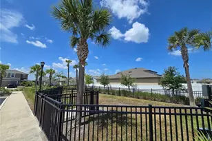 838 Olive Conch St, Ruskin, FL 33570 - Photo 16