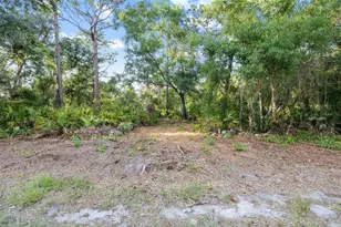 Lake Le Clare Rd, Lutz, FL 33558 - Photo 14