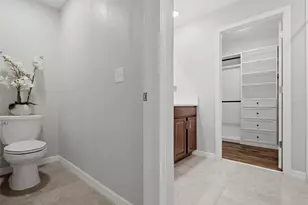 10232 Cool Waterlily Ave, Riverview, FL 33578 - Photo 34