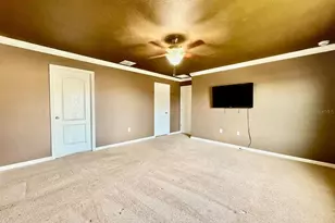 12404 Ballentrae Forest Dr, Riverview, FL 33579 - Photo 24