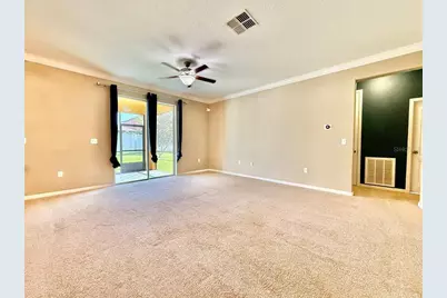 12404 Ballentrae Forest Drive, Riverview, FL 33579 - Photo 14