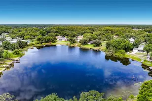 87 1st Ave NW, Lutz, FL 33548 - Photo 40