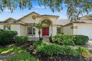 2909 Starmount Dr, Valrico, FL 33596 - Photo 1