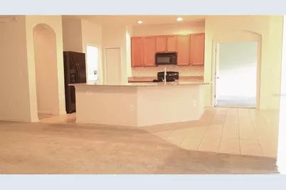 609 Cedar Waxwing Drive, Brandon, FL 33510 - Photo 12