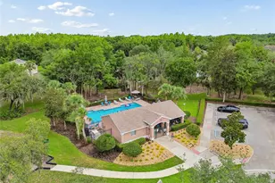 12155 Infinity Dr, New Port Richey, FL 34654 - Photo 66