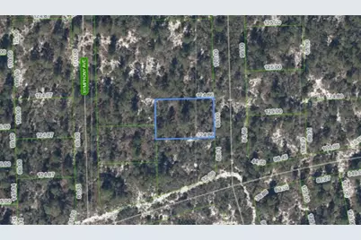 591 Blue Velvet Drive, Lake Placid, FL 33852 - Photo 1