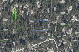 591 Blue Velvet Dr, Lake Placid, FL 33852 - Photo 1