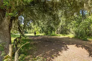 2880 Waters Edge Rd, Palm Harbor, FL 34685 - Photo 50