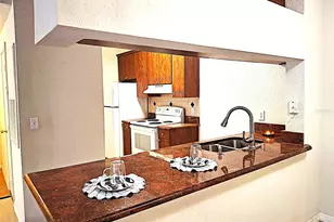 13304 Sanctuary Cove Dr, Temple Terrace, FL 33637 - Photo 28